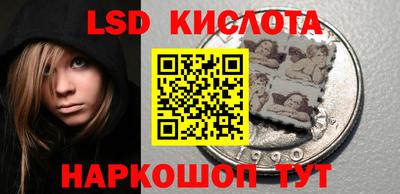 прущие грибы Волгодонск