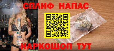 прущие грибы Волгодонск