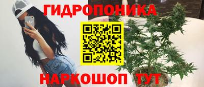 прущие грибы Волгодонск