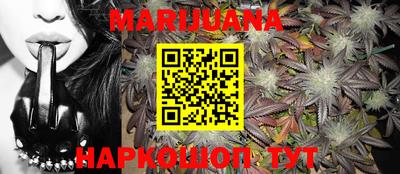 шишки Абакан