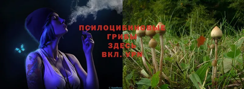 Галлюциногенные грибы Magic Shrooms  Ишимбай 