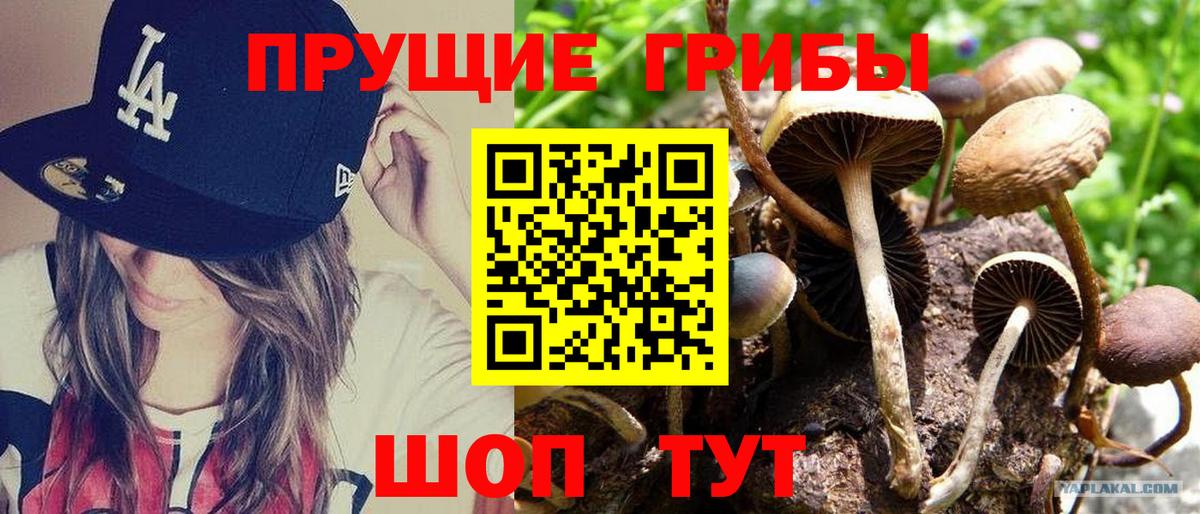Галлюциногенные грибы прущие грибы Ишимбай